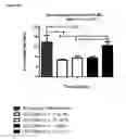 Fig. 42 - Immunoglobulins and variants directed against pathogenic microbes