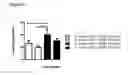 Fig. 43 - Immunoglobulins and variants directed against pathogenic microbes