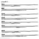 Fig. 06 - HUMANIZED ANTI-FACTOR D ANTIBODIES AND USES THEREOF