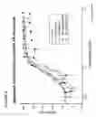 Fig. 07 - HUMANIZED ANTI-FACTOR D ANTIBODIES AND USES THEREOF
