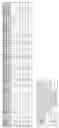 Fig. 08 - P2X4 antibodies and uses thereof