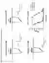 Fig. 43 - P2X4 antibodies and uses thereof