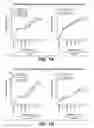 Fig. 02 - Method of treating retinopathy with an anti-LRP5 antibody