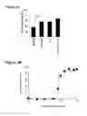 Fig. 03 - CD89 ACTIVATION IN THERAPY