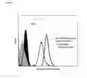 Fig. 07 - CD89 ACTIVATION IN THERAPY