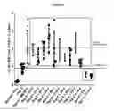 Fig. 03 - Immunological reagents