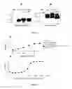 Fig. 07 - Recombinant monovalent antibodies