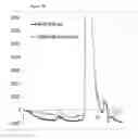 Fig. 09 - Fully human antibodies that bind to vascular endothelial growth factor receptor 2 (VEGFR2)