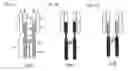 Fig. 03 - Antibody variants composition