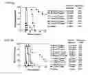 Fig. 07 - Modular Method to Prepare Tetrameric Cytokines with Improved Pharmacokinetics by the Dock-and-Lock (DNL) Technology
