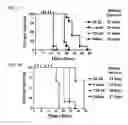 Fig. 08 - Modular Method to Prepare Tetrameric Cytokines with Improved Pharmacokinetics by the Dock-and-Lock (DNL) Technology