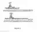 Fig. 04 - Chimeric antigen receptors recognizing cancer-specific TN glycopeptide variants