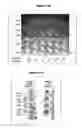 Fig. 133 - NOVEL IMMUNOGLOBULIN VARIANTS