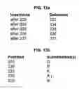 Fig. 17 - NOVEL IMMUNOGLOBULIN VARIANTS