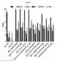 Fig. 20 - NOVEL IMMUNOGLOBULIN VARIANTS