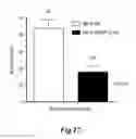 Fig. 23 - Methods for treating conditions associated with MASP-2 dependent complement activation