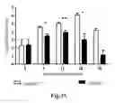 Fig. 43 - Methods for treating conditions associated with MASP-2 dependent complement activation