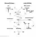 Fig. 01 - Methods for Treating Conditions Associated with MASP-2 Dependent Complement Activation