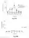 Fig. 42 - Methods for Treating Conditions Associated with MASP-2 Dependent Complement Activation