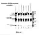 Fig. 62 - Methods for Treating Conditions Associated with MASP-2 Dependent Complement Activation