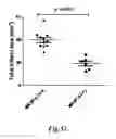 Fig. 68 - Methods for Treating Conditions Associated with MASP-2 Dependent Complement Activation
