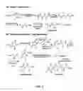 Fig. 02 - Method of preparing well-defined polypeptides via ROP