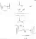 Fig. 06 - Poly(ethylene imine)-based copolymers for bonding to and releasing genetic material, in particular DNA/RNA, and method for the production and use of same