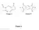 Fig. 05 - Continuous high shear reactor melt processing methods to synthesize heterocyclic monomer and prepolymer alloys and compositions thereof