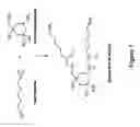 Fig. 02 - Microencapsulated aminosiloxanes for protective material formulations
