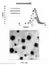 Fig. 03 - Polycarbonate containing compounds and methods related thereto