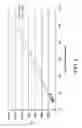 Fig. 06 - Polycarbonate containing compounds and methods related thereto