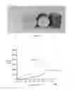 Fig. 03 - TANNIN-MODIFIED POROUS MATERIAL AND METHODS OF MAKING SAME