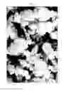 Fig. 04 - PROCESSING AIDS AND MASTERBATCHES FOR THE SAME