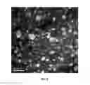 Fig. 03 - Polyamide composite resin composition for fuel filler pipe