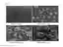 Fig. 02 - Coating composition for preventing adhesion of advertising material and method for coating by thereof