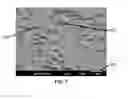 Fig. 07 - ANTI-GLARE, TEXTURE COATING FOR PACKAGING