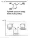 Fig. 04 - Surface-independent, surface-modifying, multifunctional coatings and applications thereof