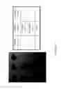 Fig. 46 - Surface-independent, surface-modifying, multifunctional coatings and applications thereof