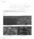 Fig. 02 - Coating sheet for preventing adhesion of advertising material