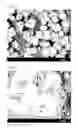 Fig. 02 - Hybrid fluorescent material and method of producing same