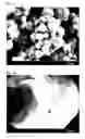 Fig. 03 - Hybrid fluorescent material and method of producing same