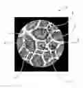 Fig. 01 - Pre-moistened fibrous structures exhibiting increased capacity