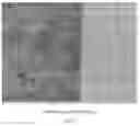 Fig. 14 - DIVIDABLE SURFACES FOR CELL CULTURING