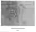 Fig. 15 - DIVIDABLE SURFACES FOR CELL CULTURING