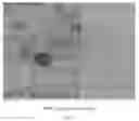 Fig. 16 - DIVIDABLE SURFACES FOR CELL CULTURING
