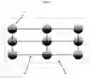 Fig. 03 - Mammalian Cell In Vitro Topological Neuron Network