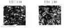 Fig. 13 - INCUBATED STATE EVALUATING DEVICE, INCUBATED STATE EVALUATING METHOD, INCUBATOR, AND PROGRAM
