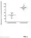 Fig. 04 - Process for the purification of poliovirus from cell cultures