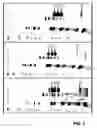 Fig. 06 - Process for the purification of poliovirus from cell cultures