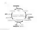 Fig. 02 - Carbon fixation cycle and use thereof